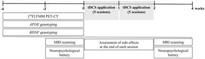 Impact of transcranial direct current stimulation on white matter microstructure integrity in mild cognitive impairment patients according to effect modifiers as risk factors for Alzheimer’s disease